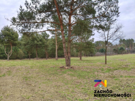 Nieruchomości Zielona Góra - Działki w gm. Świdnica na sprzedaż!!!